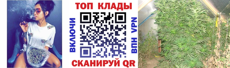 Все наркотики Зеленогорск Галлюциногенные грибы  Меф мяу мяу  Гашиш  Канабис  Alpha PVP 