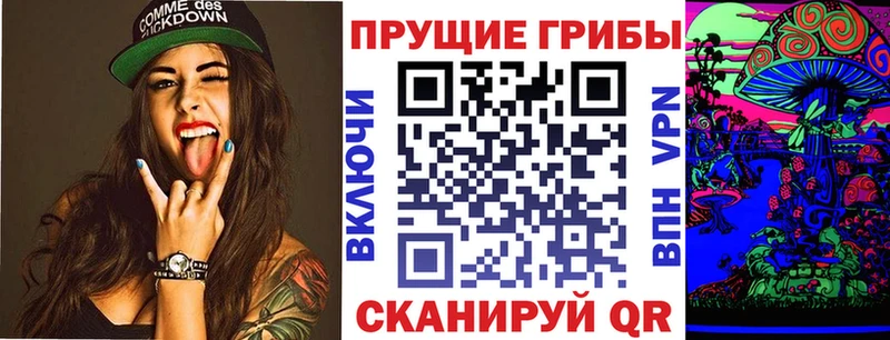 Галлюциногенные грибы прущие грибы KRAKEN вход Зеленогорск